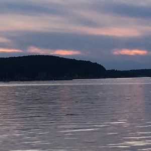 Meet your Posher, Terri